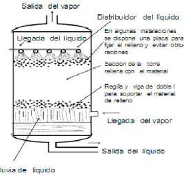 Fig. 1.2.5.1.2-1 Representación Esquemática de una Torre con Material de Relleno 