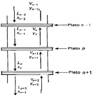 Fig. 1.2.5.3.1-1 Diagrama de un Plato Ideal 