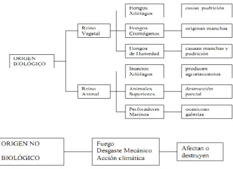 Fig. 1.1.8-1. Clasificación de los agentes que afectan a la madera. 