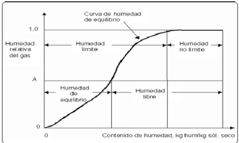 Fig. 1.2.3-1.  Diferentes tipos de Humedades. 