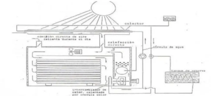 Fig. 1.2.4.2.4.1. Secador con energía solar. 