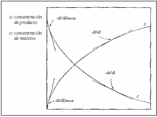 Figura 1-1 Velocidad de Reacción 