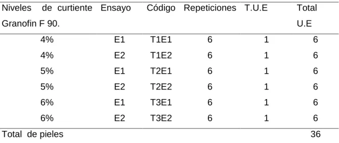 Cuadro 4.  ESQUEMA DEL EXPERIMENTO.  