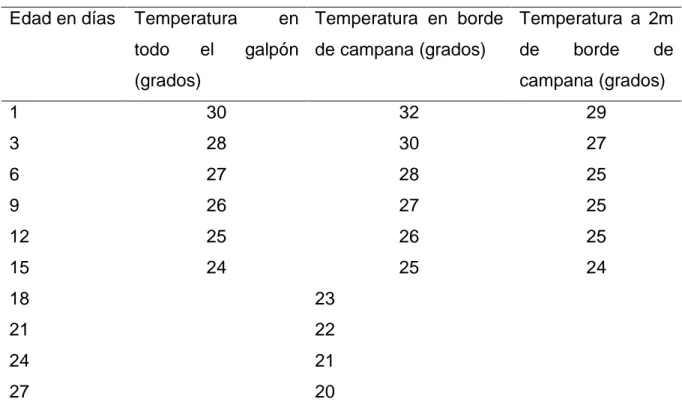 Cuadro 1. TEMPERATURA NECESARIA EN EL GALPÓN Y BORDE CAMPANA  DE ACUERDO  A LA EDAD DE LOS POLLOS BROILERS