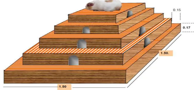 Gráfico 1.   Madriguera de madera estilo pirámide. 