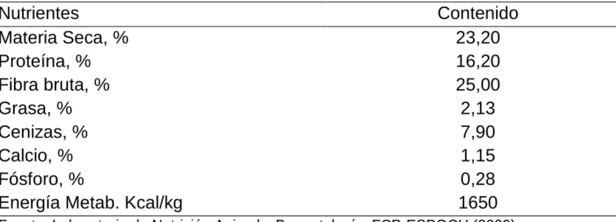 Cuadro 8.  ESQUEMA  DEL  EXPERIMENTO  PARA  LAS  ETAPAS  DE   CRECIMIENTO YENGORDE. 