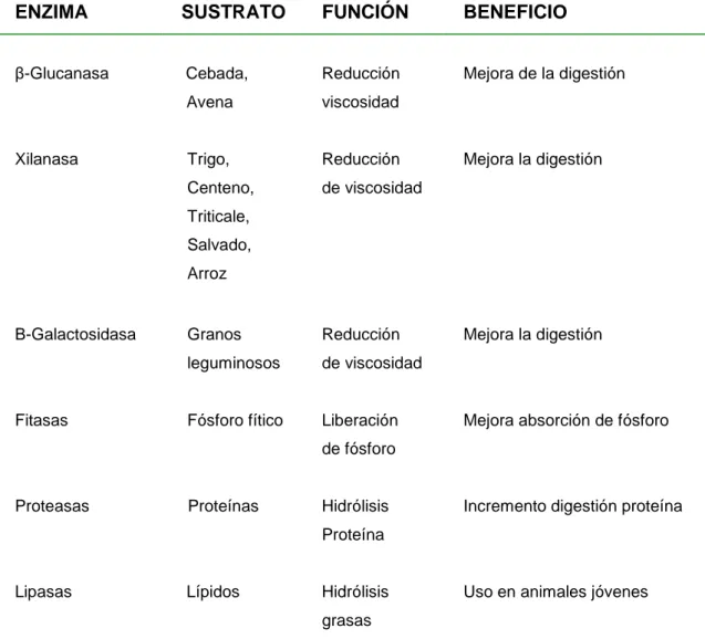 Cuadro 7.  ENZIMAS UTILIZADAS EN AVICULTURA Y SUS BENEFICIOS. 