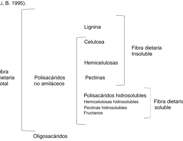 Gráfico 3. Clasificación simplificada de la fibra dietaria