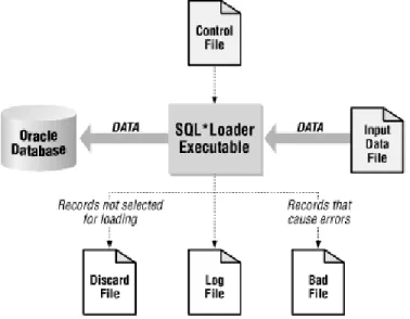 FIGURA IV.2: Componentes del entorno de SQL LOADER 