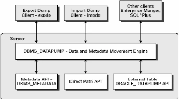 Figura IV.1: Arquitectura DATA PUMP  4.2.4. TIPOS DE DATOS GESTIONADOS POR DATA PUMP  