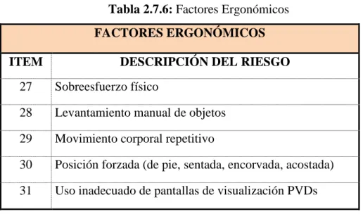 Tabla 2.7.6: Factores Ergonómicos  FACTORES ERGONÓMICOS 