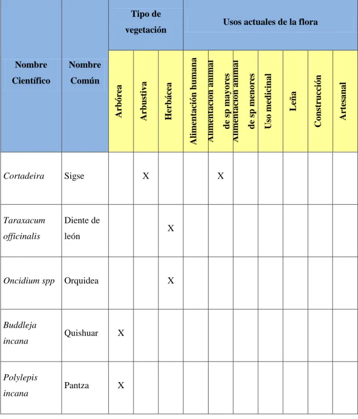 Cuadro Nº 5. Especies de flora presentes en las zonas de ríos y quebradas. 