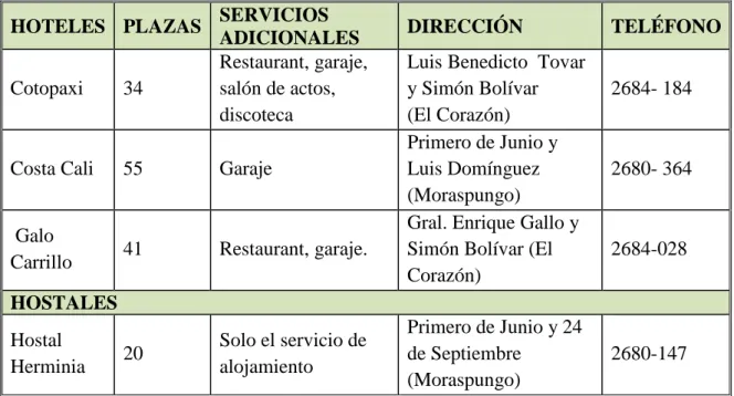 Cuadro N° 16: Servicio de alojamiento en el cantón Pangua. 