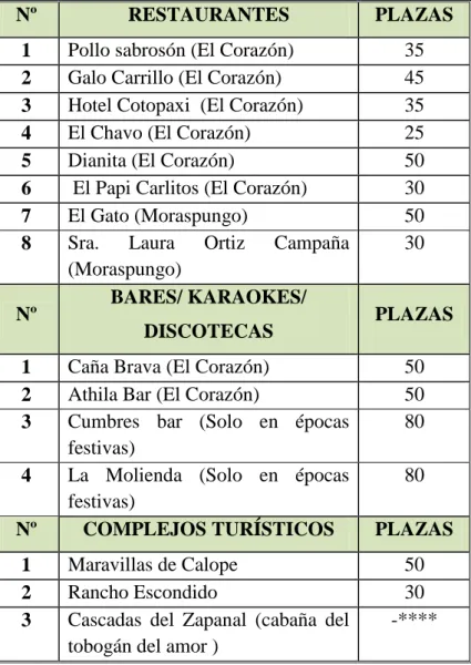 Cuadro N° 17: Servicio de alimentación, bares y diversión en el cantón Pangua. 