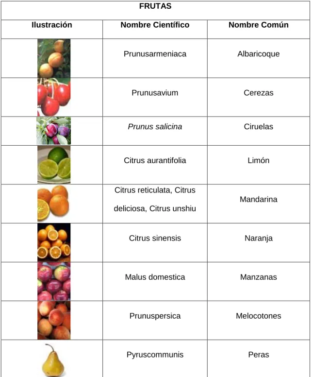 Tabla 1: Identificación Científica Frutas 