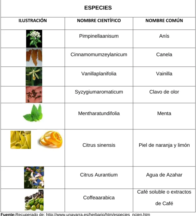 Tabla 2: Identificación Científicas de las Especies 