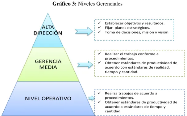 Gráfico 3: Niveles Gerenciales 
