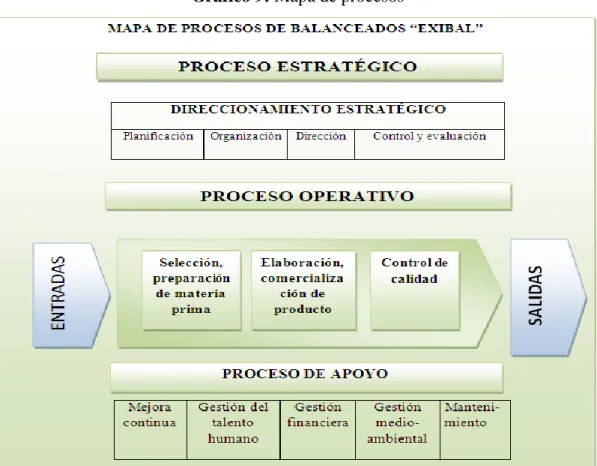 Gráfico 9: Mapa de procesos 