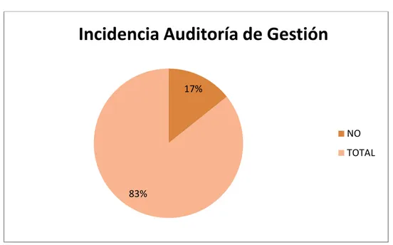 Gráfico N°    6: Incidencia Auditoría de Gestión 