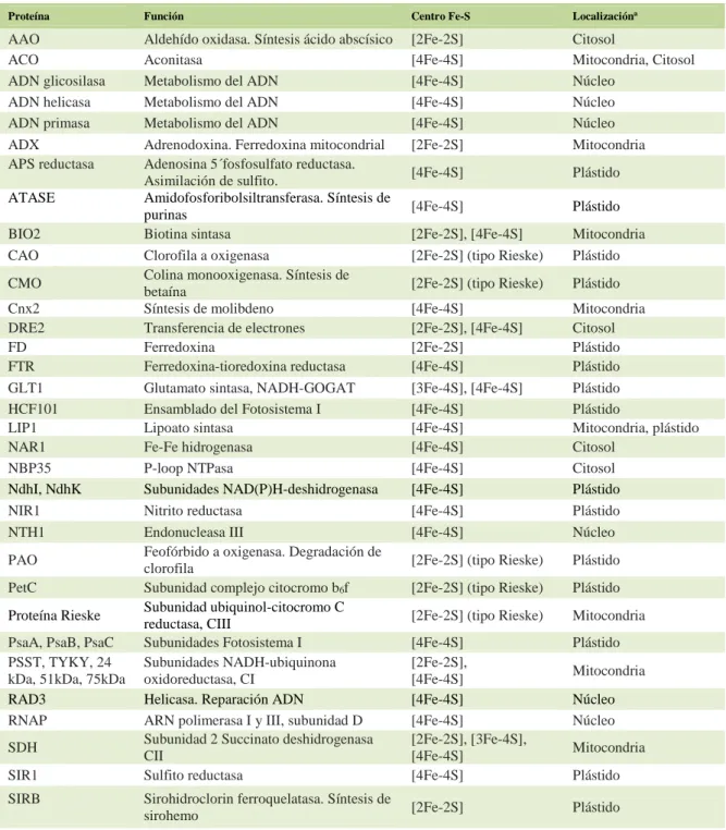 Tabla 1: Localización subcelular y función de Proteínas Fe-S en plantas superiores 