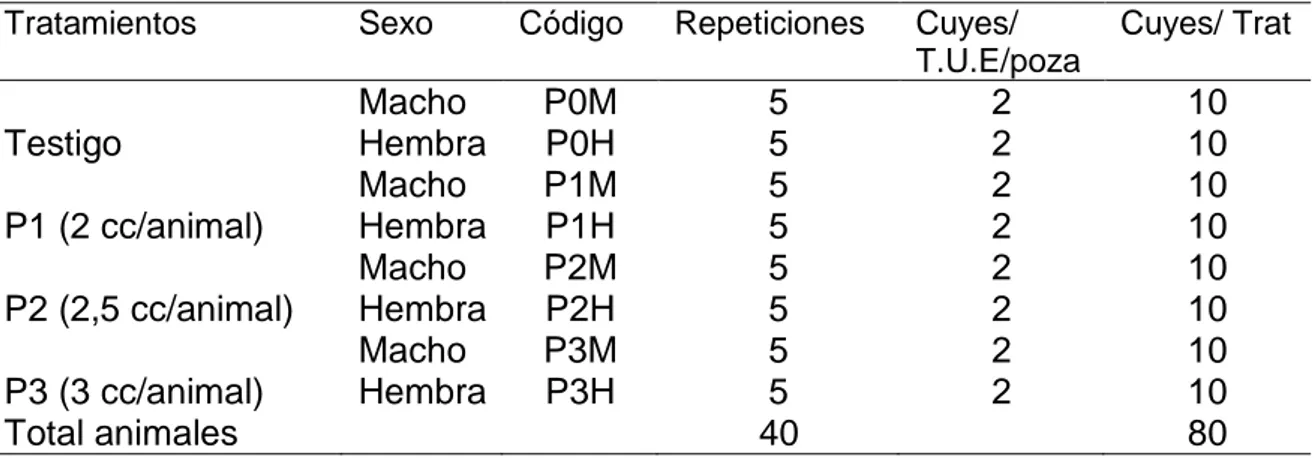 Cuadro 2. ESQUEMA DEL EXPERIMENTO. 