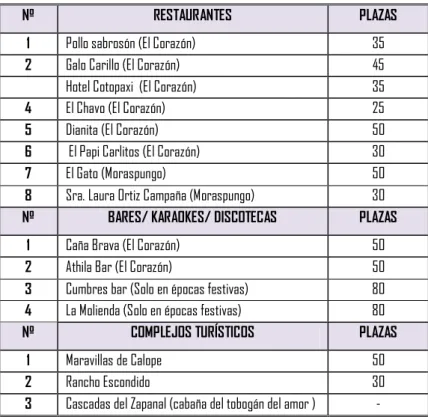 Cuadro N° 18: Servicio de alimentación, bares y diversión en el cantón Pangua. 