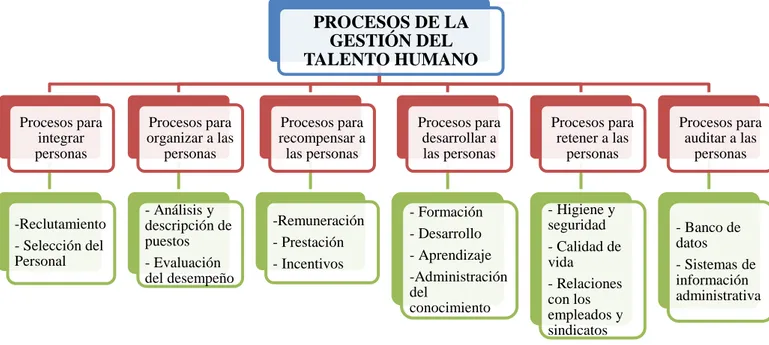 Gráfico N° 2: Procesos de la Gestión del Talento Humano