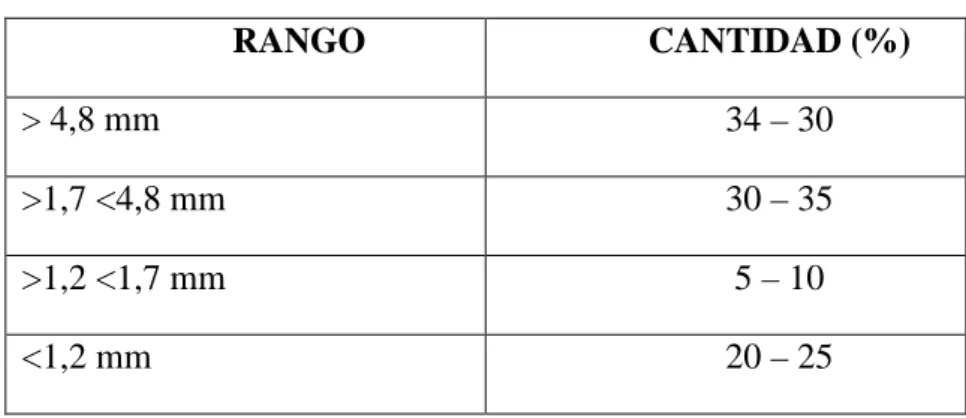 TABLA N° 1TAMAÑO DE LAS VIRUTAS DE CROMO 