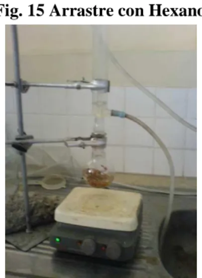 Fig. 15 Arrastre con Hexano 