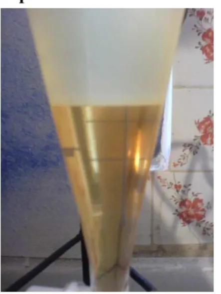 Fig. 16 Separación del Biodiesel de la Glicerina 