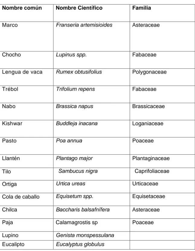 Tabla 4: Especies vegetales de la zona en estudio 