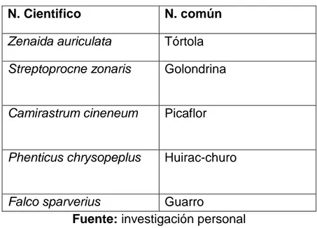 Tabla 6: Animales visibles en la zona de estudio  N. Cientifico  N. común 