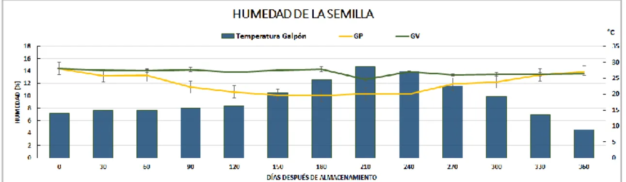 Figura 13. Humedad de la semilla almacenada en galpón, en relación con la  temperatura promedio registrada dentro del mismo.