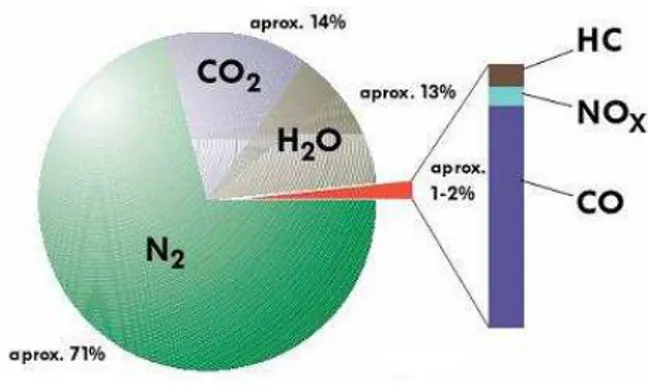 Fig. 1.1.1.2-1. Tipos de gases producidos en la combustión 