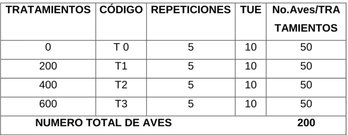 CUADRO 10: ESQUEMA DEL EXPERIMENTO 