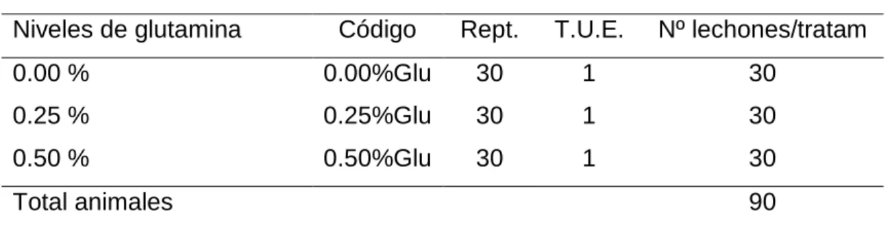 Cuadro 6.  ESQUEMA DEL EXPERIMENTO. 