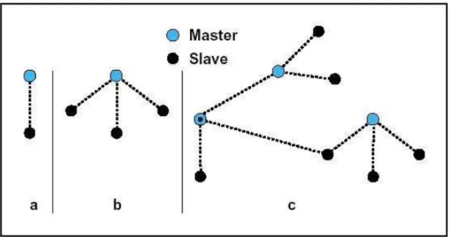 Figura Nº  II.5. Piconet. 