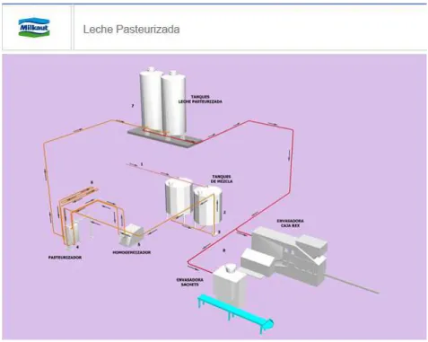 Figura No. 2 Leche Pasteurizada 