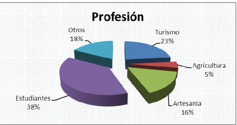 Gráfico Nº 7: Profesión de Shayari 