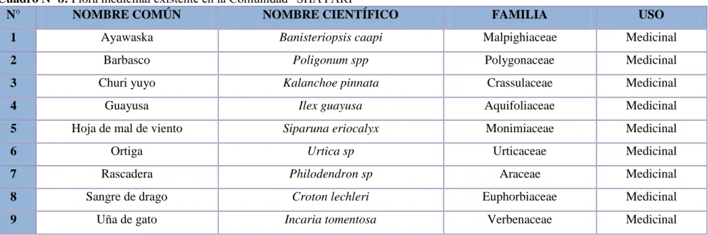 Cuadro Nº 8: Flora medicinal existente en la Comunidad “SHAYARI” 