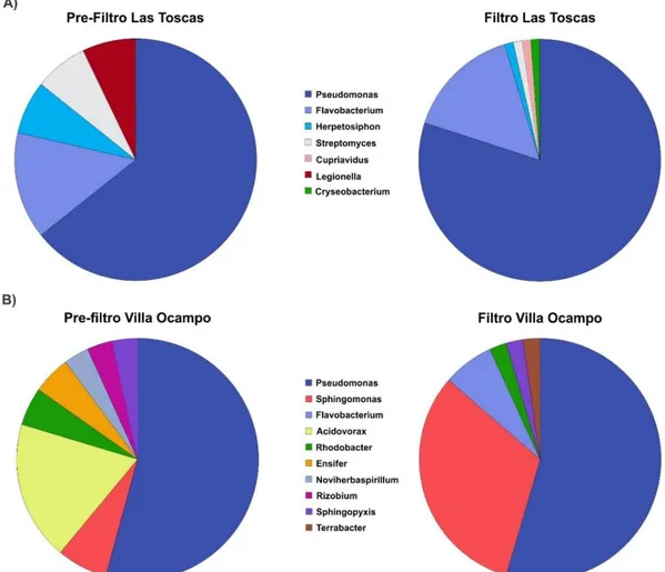 Tabla 3.6. Número de aislamientos obtenidos a partir de medios selectivos  conteniendo Mn(II)