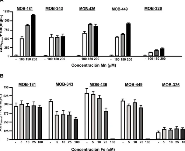 Fig.  3.10.  Influencia  de  diferentes  concentraciones  de  metales  en  las  capacidades de oxidación de Mn(II) de la MOB seleccionadas