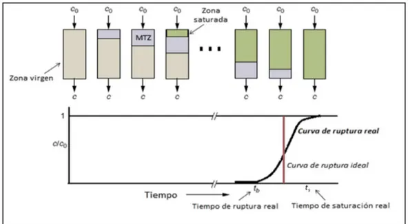 Figura 1.3: Curva de ruptura típica mostrando el movimiento de la zona de transferencia de masa (MTZ).