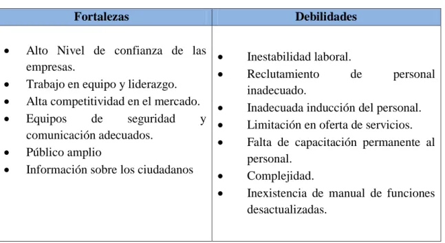 Tabla N° 5: Análisis Interno 