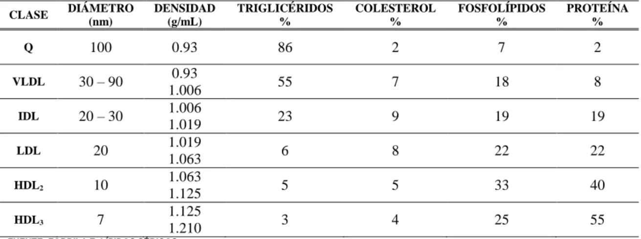 TABLA Nº 4.   CARACTERÍSTICAS NORMALES DE LAS LIPOPROTEÍNAS HUMANAS 