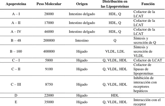 TABLA Nº 7.  CARACTERÍSTICAS DE LAS APOPROTEÍNAS HUMANAS 