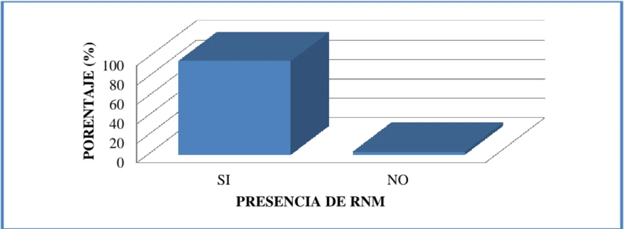 CUADRO  No.  10.  INCIDENCIA  DE  RNM  EN  EL  GRUPO  DE  PACIENTES  A  LOS  QUE  SE  REALIZÓ  EL  SEGUIMIENTO  FARMACOTERAPÉUTICO  EN  EL SUBCENTRO DE SALUD CHAMBO-CHIMBORAZO