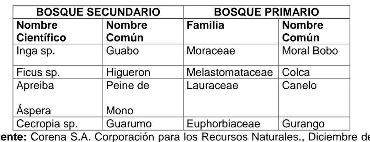 Tabla 5.-  Principales características de las unidades de vegetación. 