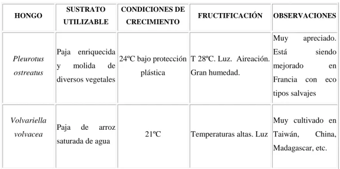 TABLA Nº V: Indicaciones para el cultivo de hongos saprofitos. 