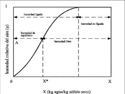Fig. 1.3.2.2-1 CURVA DE HUMEDAD DE EQUILIBRIO 